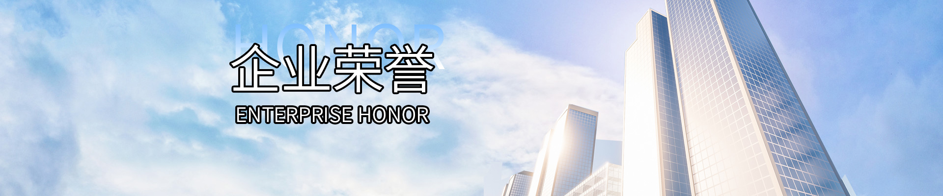 榮譽(yù)資質(zhì)